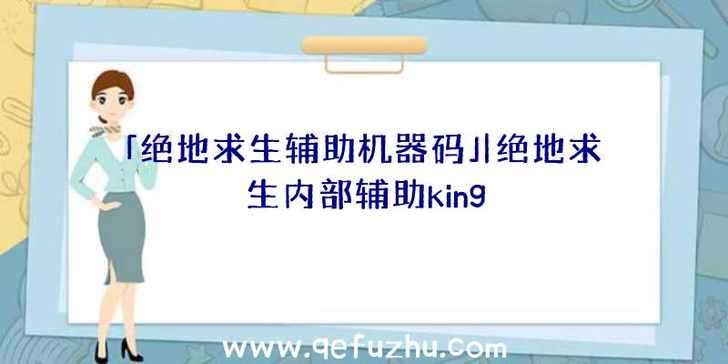 「绝地求生辅助机器码」|绝地求生内部辅助king